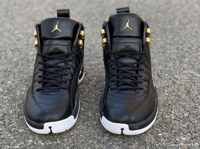 'Reptile' AO6068-007 Jordan Retro Metallic 12 Gold-White Air Black 0618